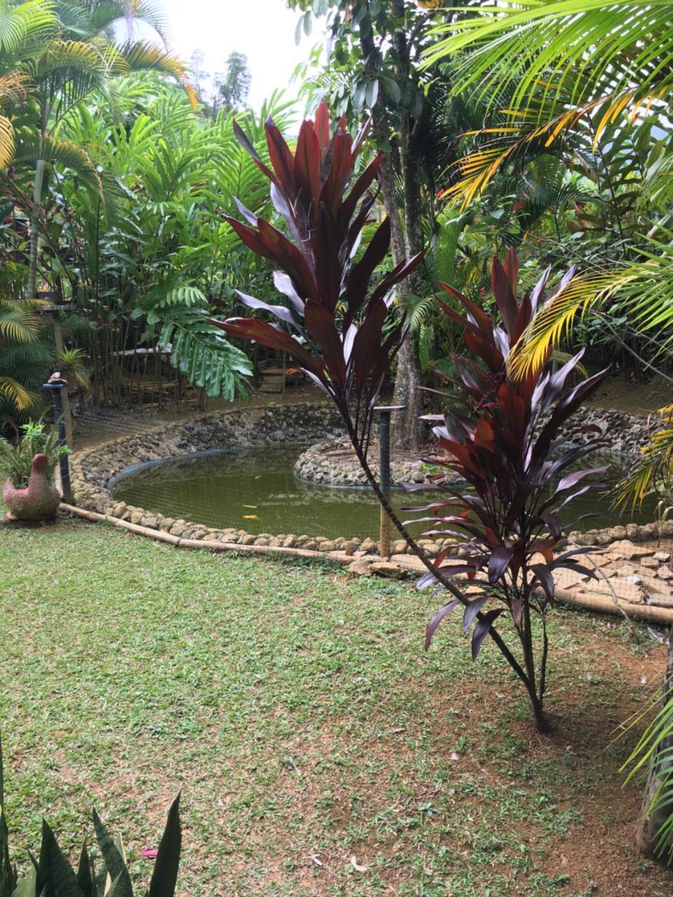 Hotel Green Ecologico La Vega (Cundinamarca) Exterior photo